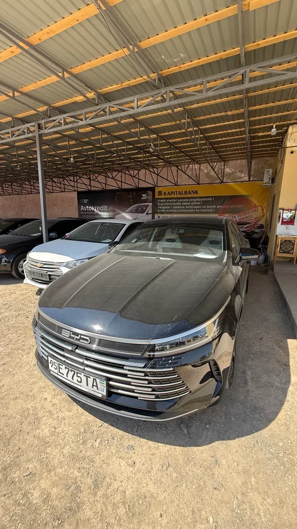 BYD Chazor