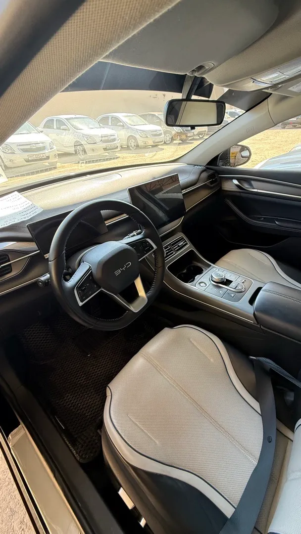 BYD Chazor - 2