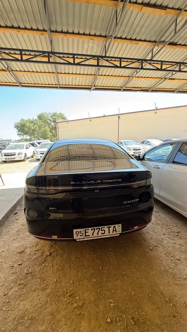 BYD Chazor - 3