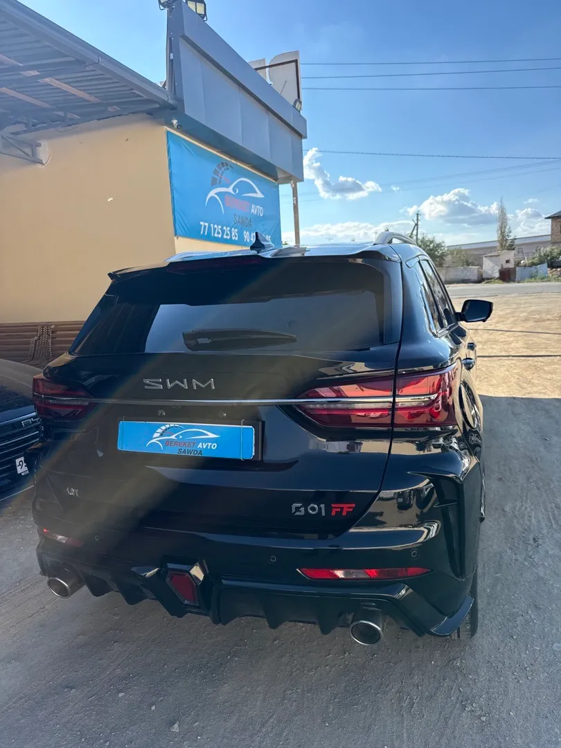 Chevrolet SWM G01 FF - 7