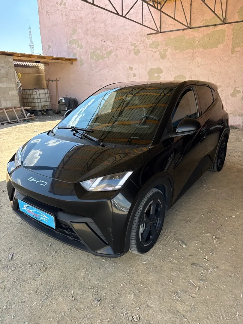 BYD Seagle