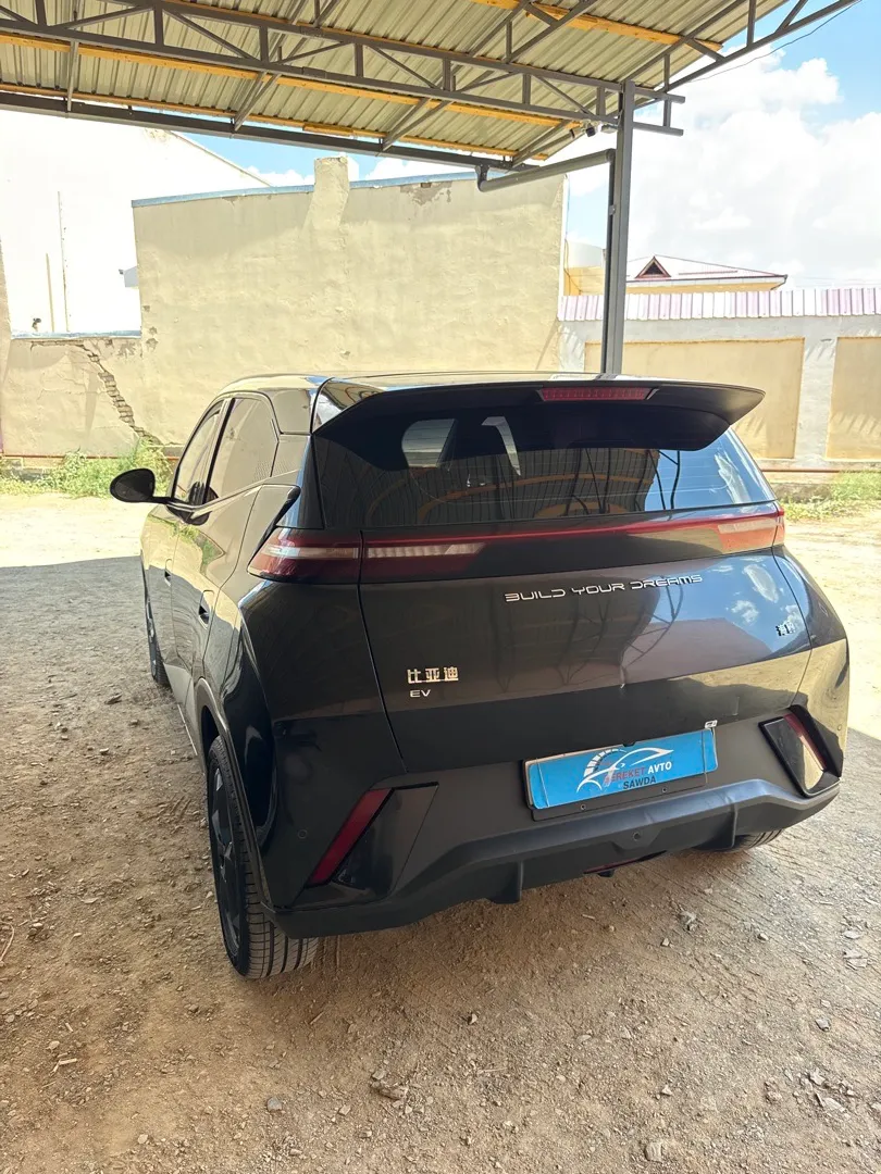 BYD Seagle - 6