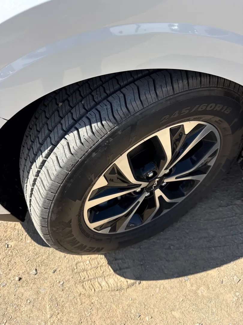 Kia Carnival - 2